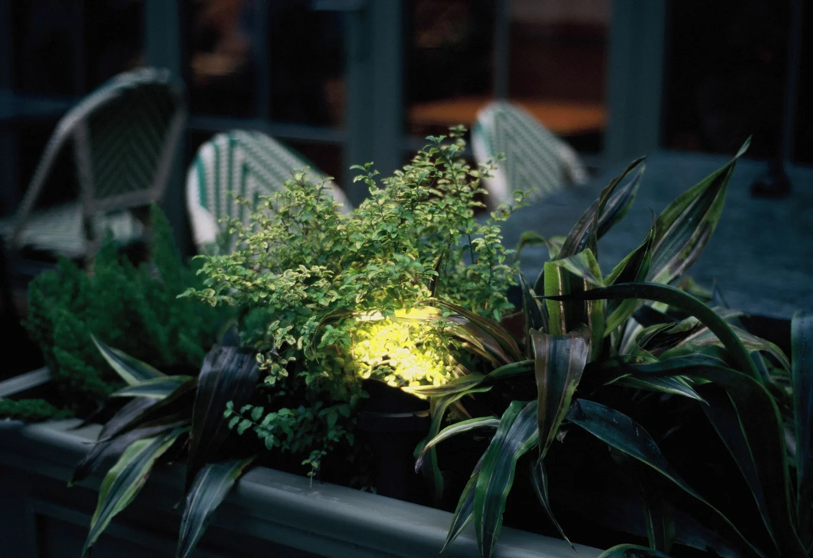 Glowing potted plants on a charming outdoor patio create a serene evening ambiance.